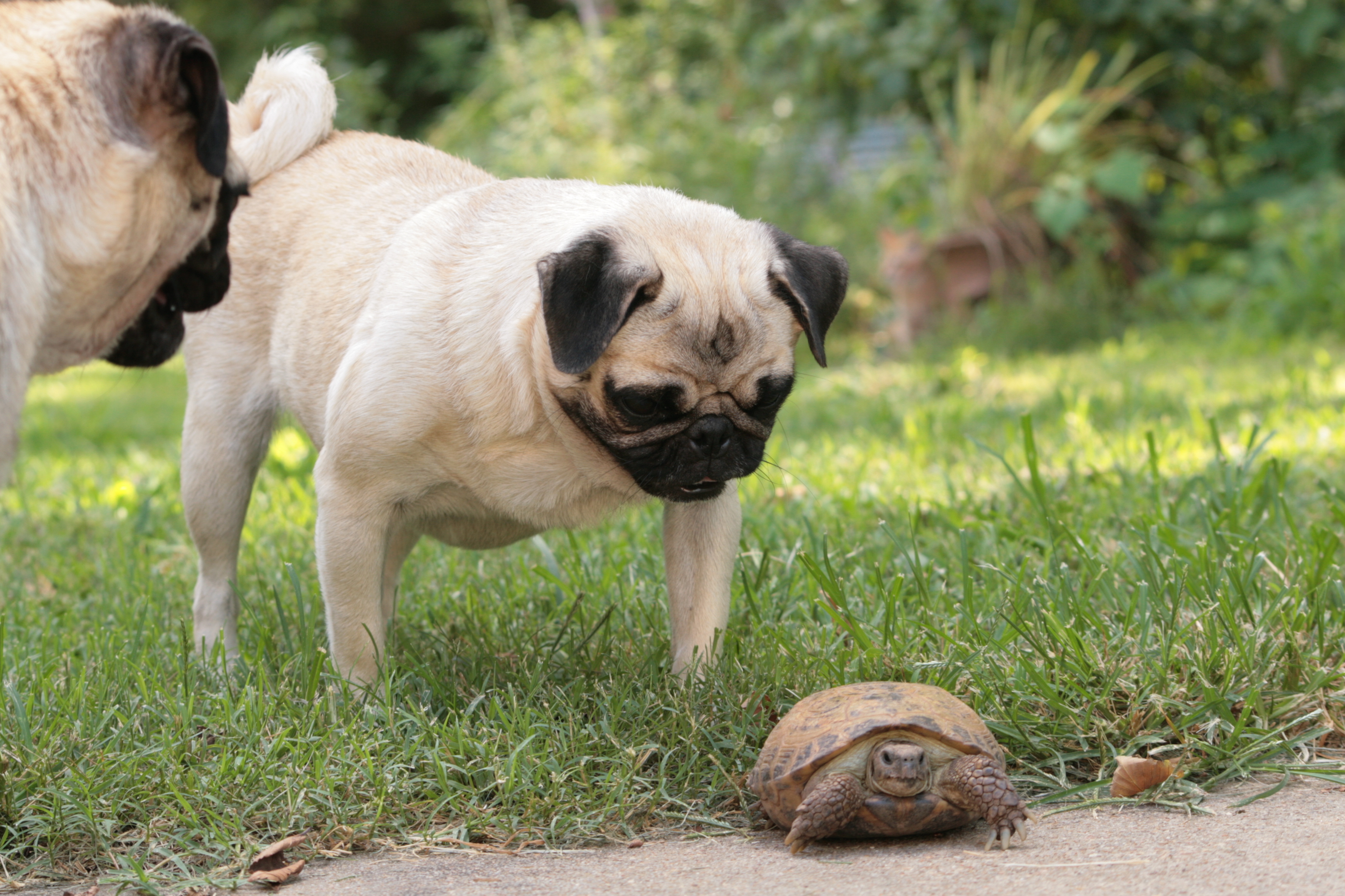 Slow is better?