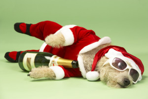 Why does everyone sleep on December 25th?