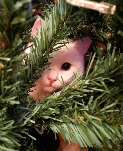 Christmas Day is the scariest day for pets?